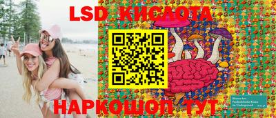 apvp Краснодар