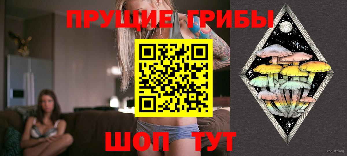 закладки  Псилоцибиновые грибы Magic Shrooms  Вход с VPN  Димитровград 